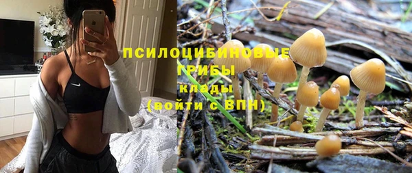 бошки Гусь-Хрустальный