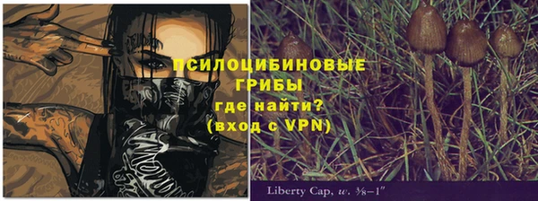 трава Гусев