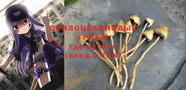 ешки Гусиноозёрск