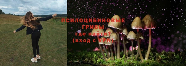 бошки Гусь-Хрустальный