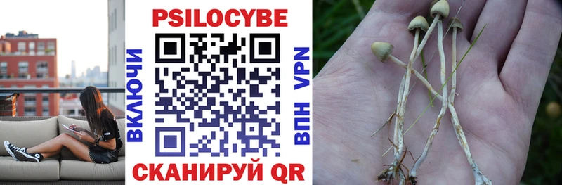 blacksprut ССЫЛКА  Сосногорск  Галлюциногенные грибы прущие грибы  сколько стоит 